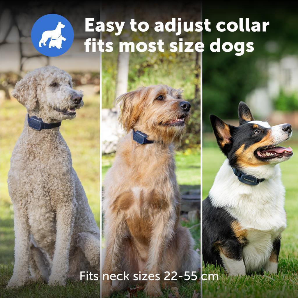 PetSafe Pro Dog Trainer with Remote